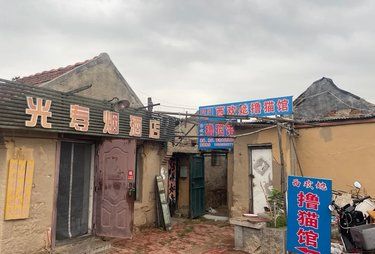 能看出开这是个撸猫馆吗