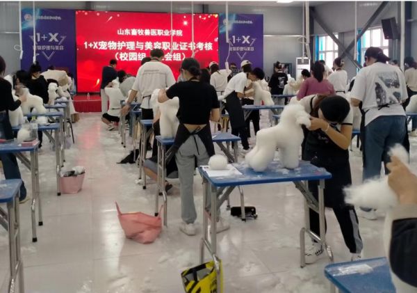 图片3
