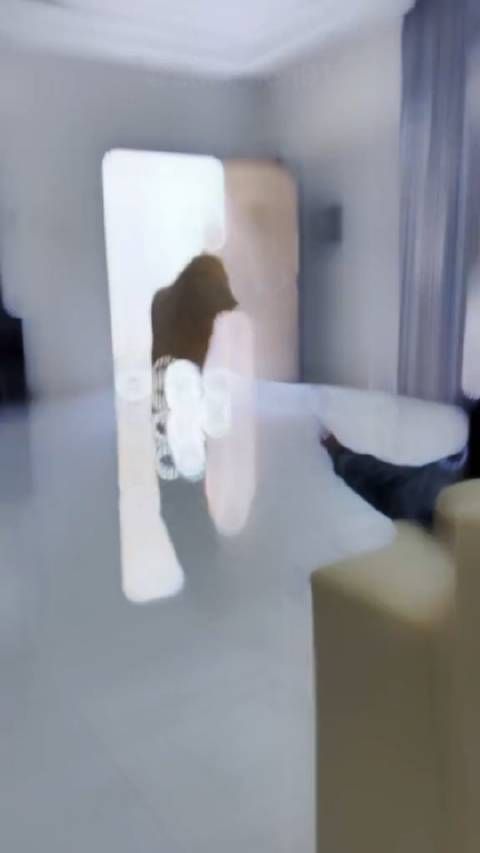 迪拜土豪的宠物