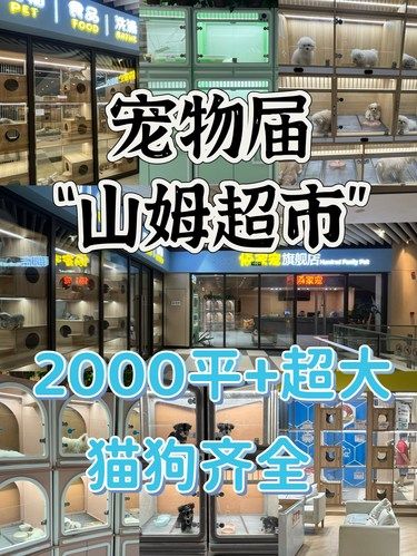 宠物届的山姆！2000平仓储式门店逛到腿软