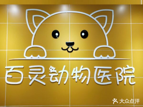 百灵宠物医院