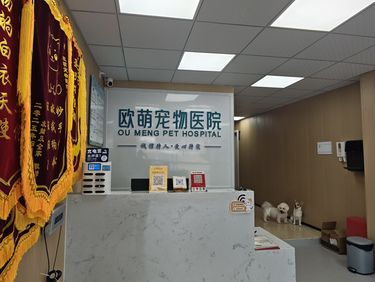 必须给欧萌宠物医院的骨科和外科团队疯狂打 call