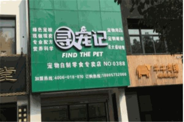 寻宠记