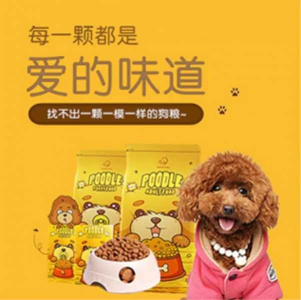 宠物食品网招商