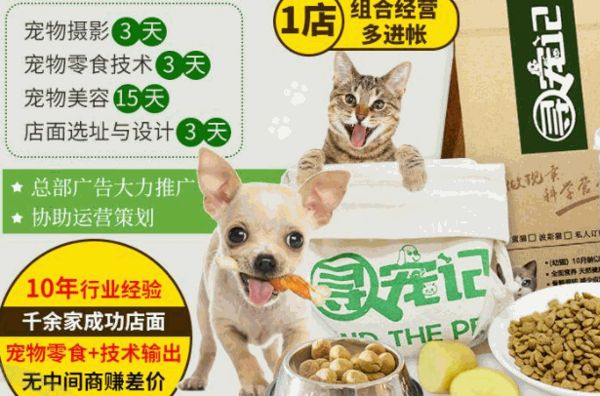 寻宠记