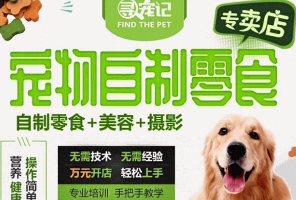 寻宠记