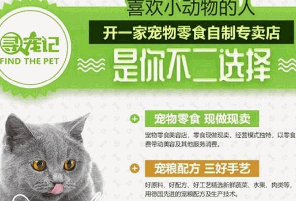 寻宠记