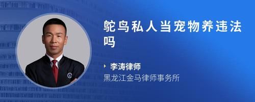 鸵鸟私人当宠物养违法吗