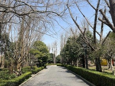 上海毛孩家长速码！星宝庄园全托式度假体验