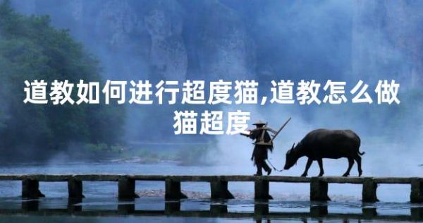 道教如何进行超度猫,道教怎么做猫超度