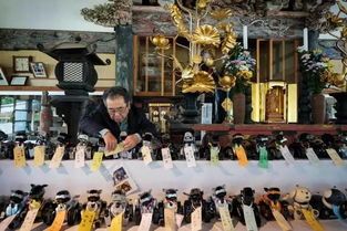 宠物超度：如何为逝去的宠物送别？宠物超度的仪式和方式