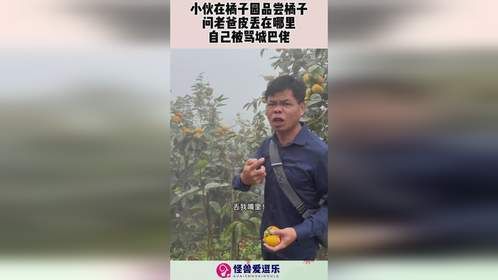 小伙在橘子园品尝橘子，问老爸皮丢在哪里，自己被骂城巴佬！