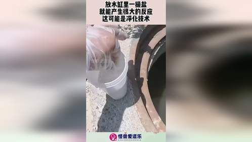 放水缸里一撮盐，就能产生很大的反应，这可能是净化技术！