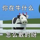 毛毛