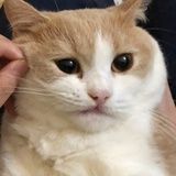 多肉葡萄凡凡
