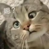 冰淇淋红茶