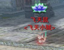 17.png