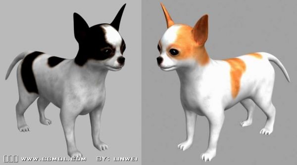 吉娃娃,宠物狗3D模型