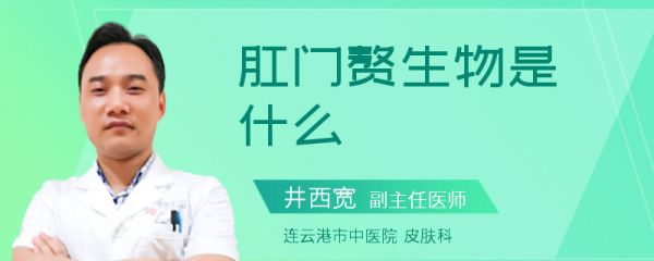肛门赘生物是什么