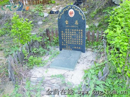 贵阳出现宠物“公墓”