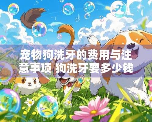 宠物狗洗牙的费用与注意事项 狗洗牙要多少钱