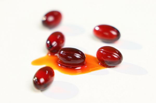 宠物鱼油和磷虾油哪个好？核心差异解析