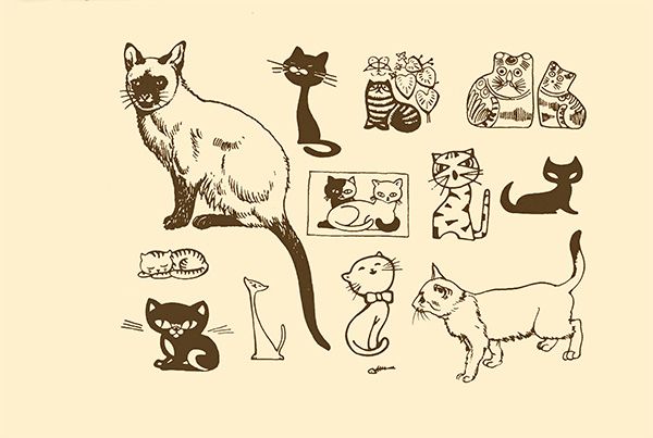 宠物猫剪影