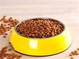 安康成犬狗粮宠物狗用品 狗狗健康 我们的责任