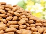 安康成犬狗粮宠物狗用品 爱它 就给它较好的