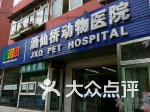 咸阳宠物医院：宠物健康护理指南？咸阳市最受欢迎的宠物医院排行榜