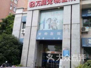 咸阳宠物医院：宠物健康护理指南？咸阳市最受欢迎的宠物医院排行榜