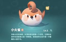 米姆米姆哈的奇妙萌宠大揭秘：究竟都有哪些宠物呢？ 