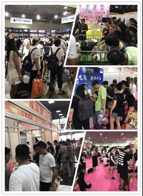 集体照.jpg