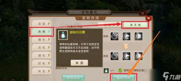 问道端游宠物新能力如何加点？加点的策略和技巧有哪些？