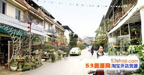 广西花鸟交易市场