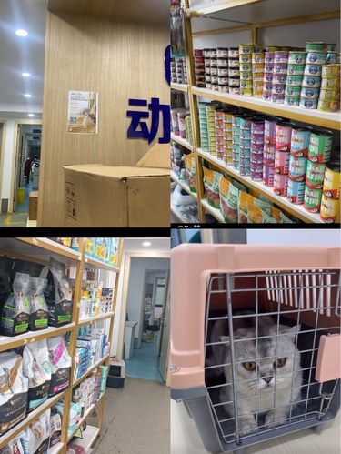 我是你的全世界，你是我的可爱多