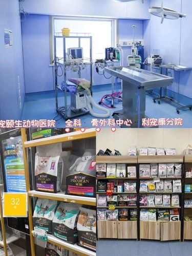这家宠物医院我真的逢人就推