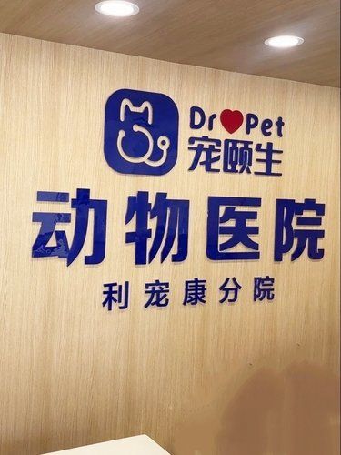 终于抽空带毛孩做完体检体检，又是健康的小宝贝