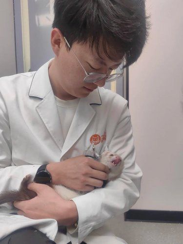 世界上怎么会有这么温柔的宠物医生！！！