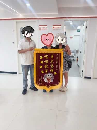 医术超赞 医心更美~