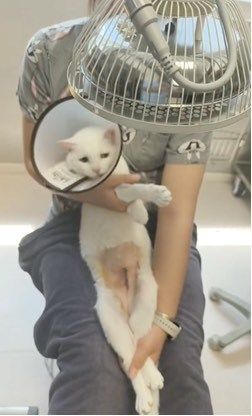 靠谱的宠物医院