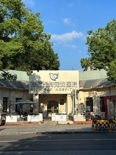 上海闵行！被这家24h宠物医院狠狠圈粉啦