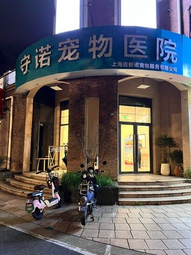 宠物医院也有新装修了