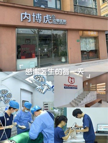 超暖的医院～服务耐心又到位，毛孩家长放心选