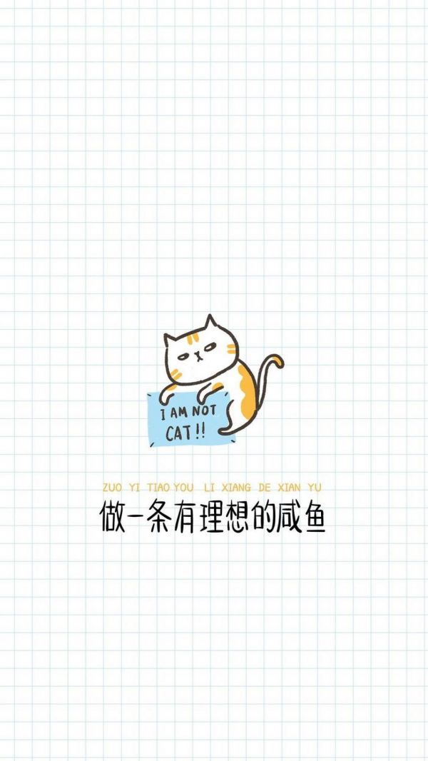 做一条有理想的咸鱼·小清新卡通小猫简约格子背景图片