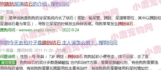 犬膀胱结石种类图片