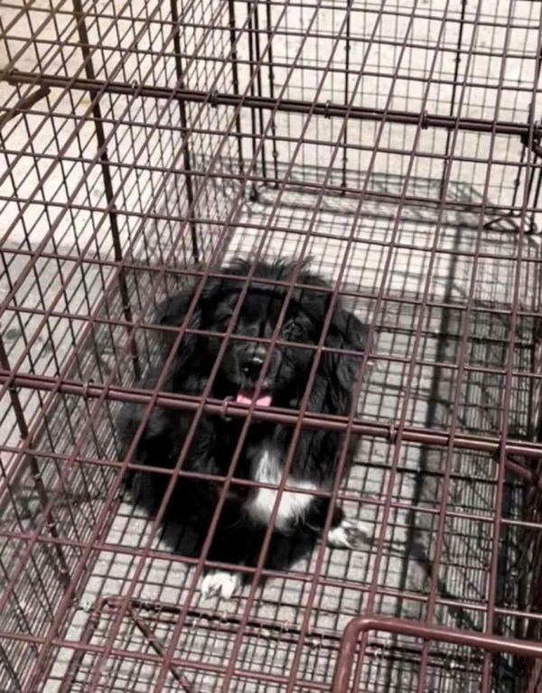 诱捕2