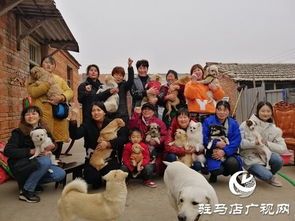 济宁宠物救助站，关爱动物新去处。