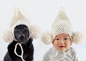 宠物狗怎么画头像男孩子
