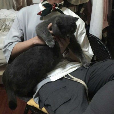 男生和宠物高清微信头像